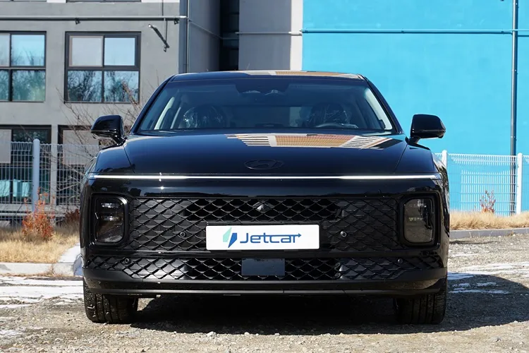 디올뉴 그랜저 2.5 아너스 (블랙시트)